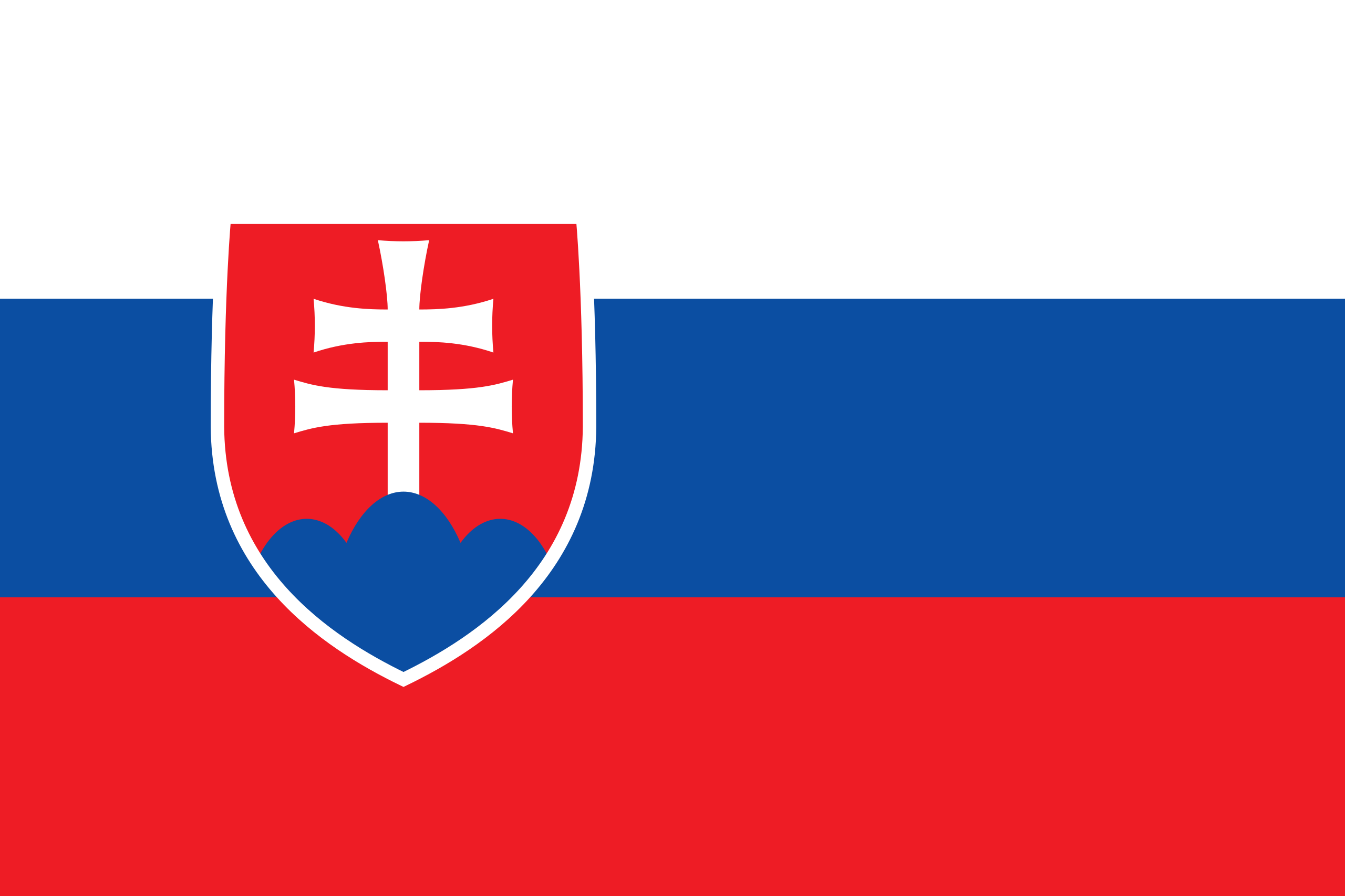 Language flag